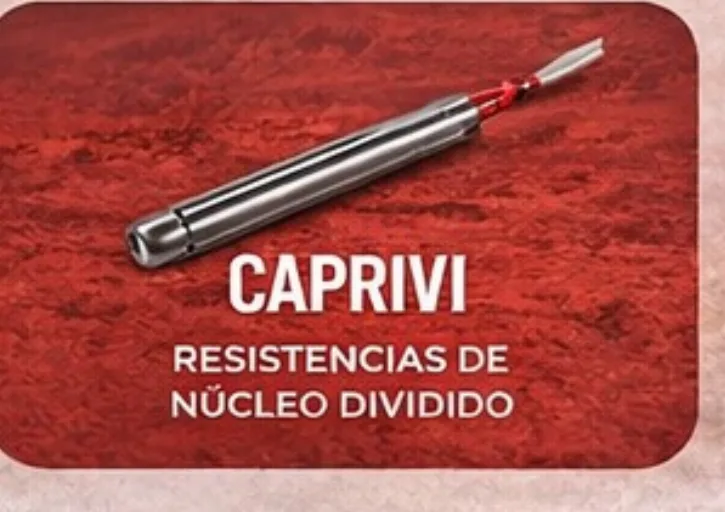 Resistencia de núcleo dividido Caprivi